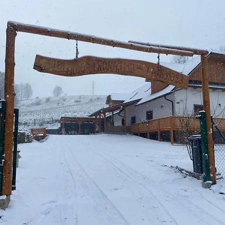 Lilien Pod Medvedi Skalou Jeseniky 아파트 *